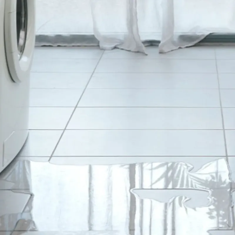 Appliance Leak Cleanup in Zellwood, FL