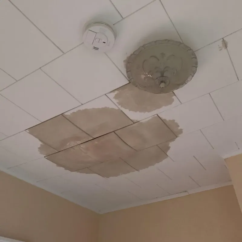 Ceiling Water Damage Repair in Zellwood, FL